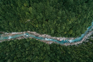 bp acquiert une participation majoritaire dans la société de compensation du carbone forestier Finite Carbon
