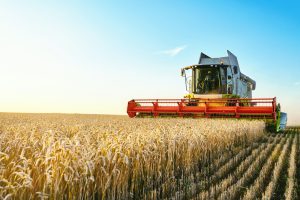 GNR standard ou supérieur : quelles différences ?