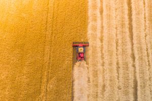 Agriculteurs : comment bien préparer la moisson ?