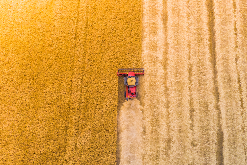 Agriculteurs : comment bien préparer la moisson ?